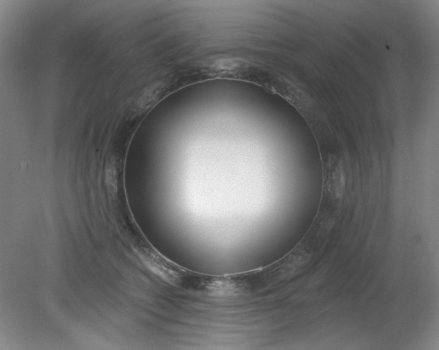 X0000079310562200612011819