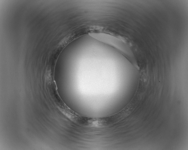 X0000079310564200612011819