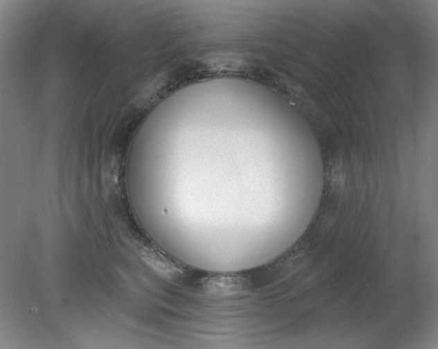 X0000079310567200612011819