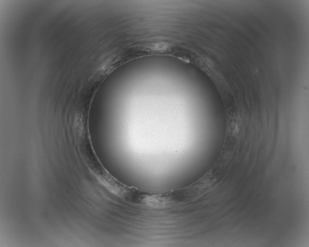 X0000079310568200612011819