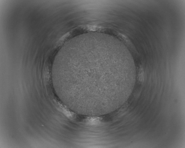 X0000079310569200612011819