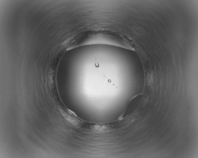 X0000079310570200612011819