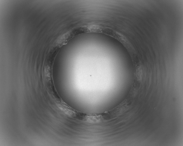 X0000079310571200612011819