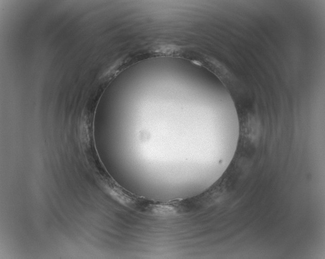 X0000079310572200612011819