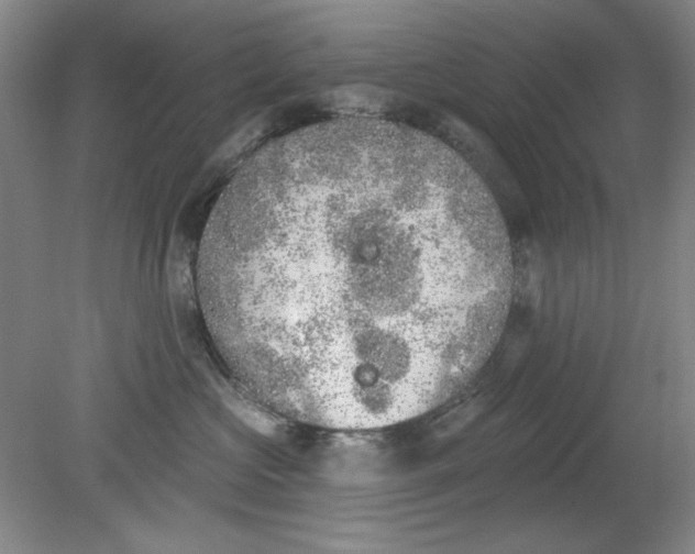 X0000079310573200612011819