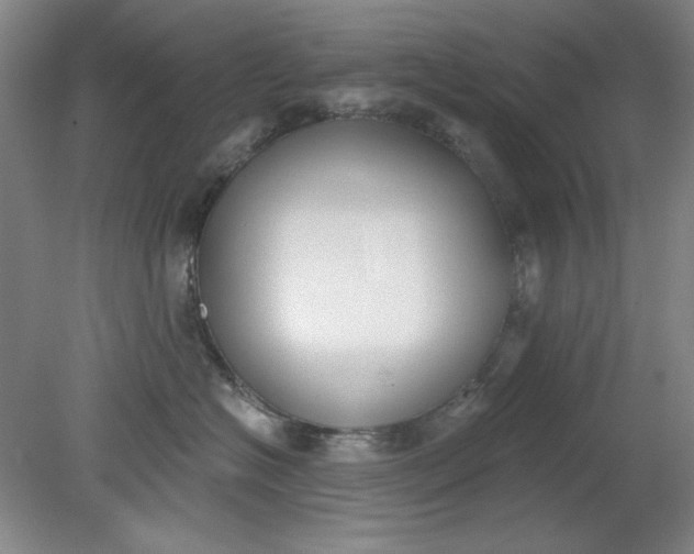 X0000079310574200612011819