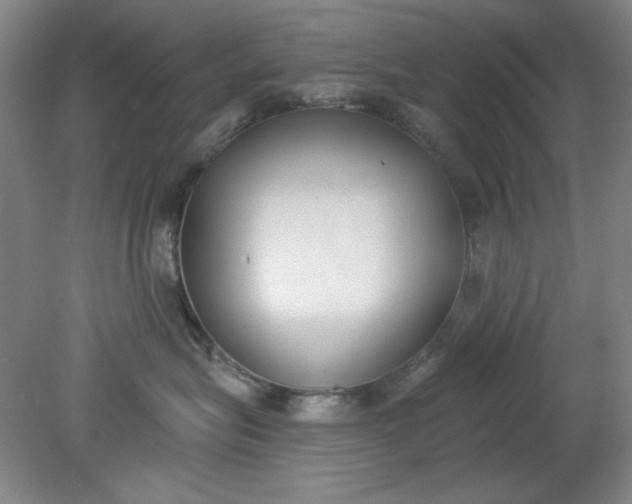 X0000079310575200612011819