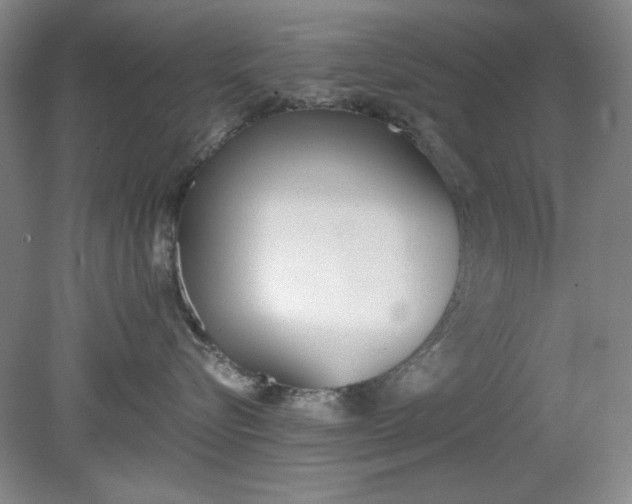 X0000079310576200612011819