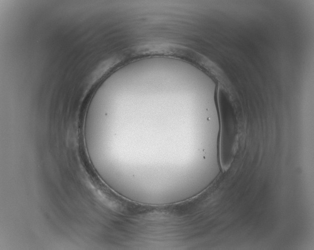X0000079310578200612011818