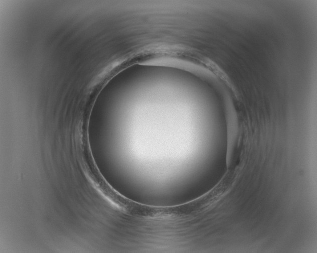 X0000079310581200612011818