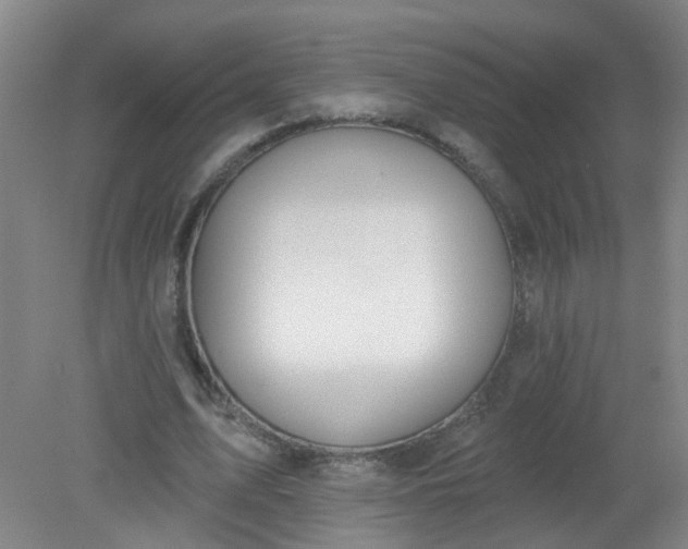 X0000079310583200612011818