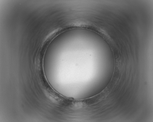 X0000079310587200612011818