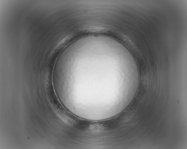 X0000079310591200612011818