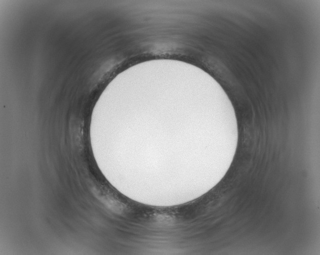 X0000079310592200612011818