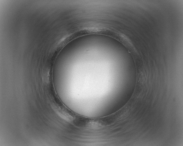 X0000079310596200612011818