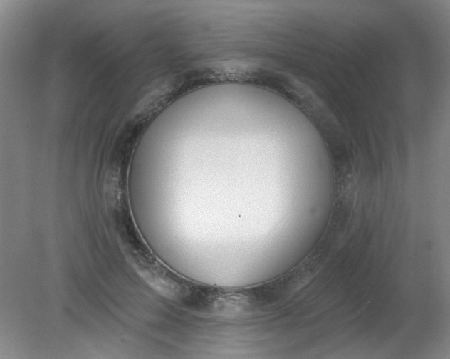 X0000079310599200612011818