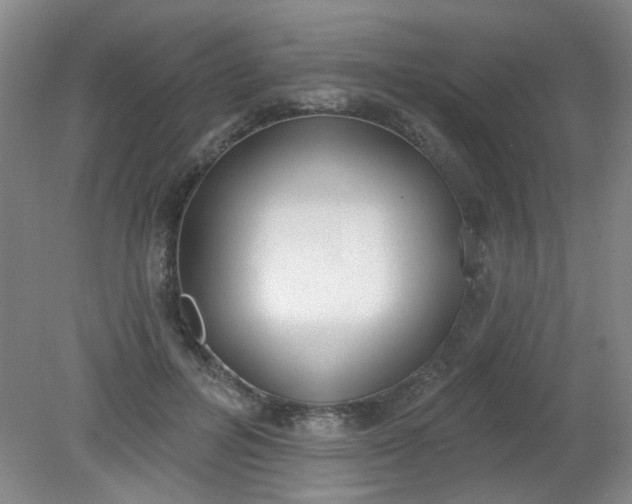 X0000079310600200612011818
