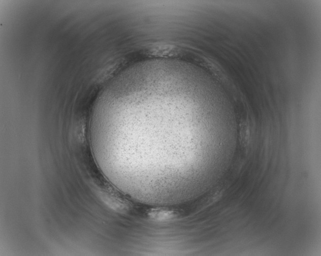 X0000079310602200612011818
