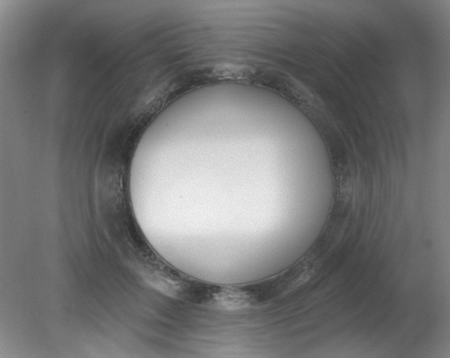 X0000079310603200612011818