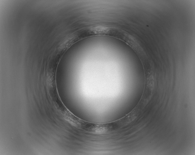 X0000079310604200612011818