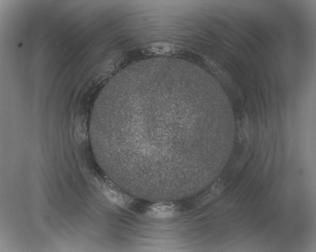 X0000079310606200612011818