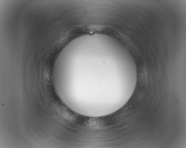 X0000079310608200612011818