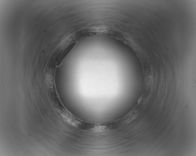 X0000079310609200612011818