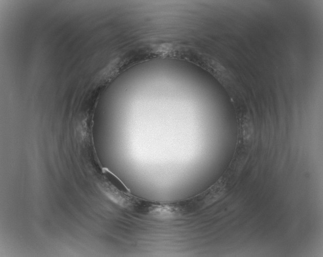 X0000079310611200612011818