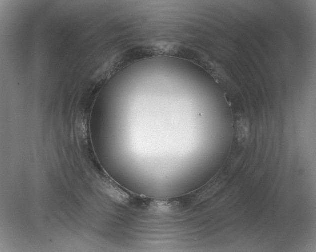 X0000079310613200612011818