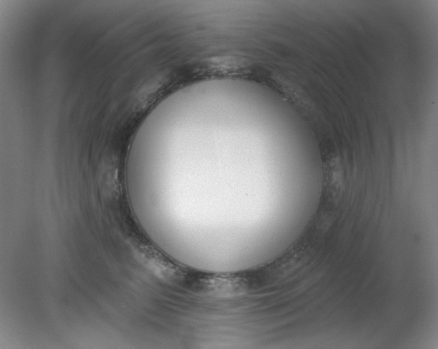 X0000079310615200612011818