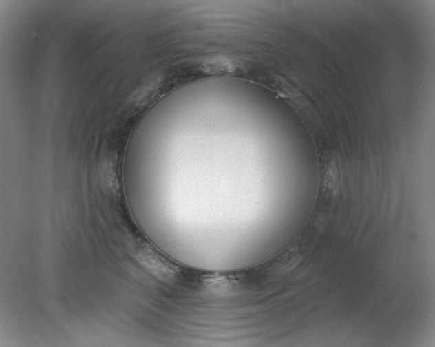 X0000079310616200612011818