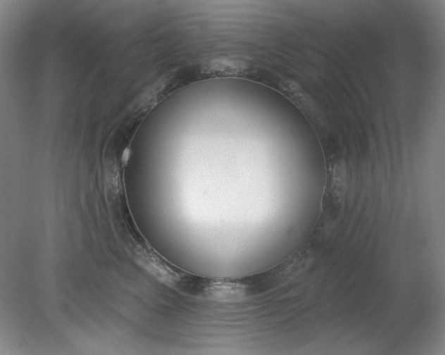 X0000079310617200612011818