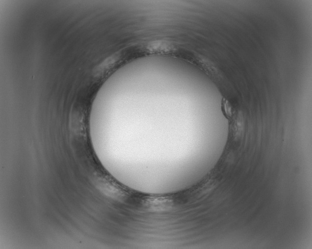 X0000079310619200612011818
