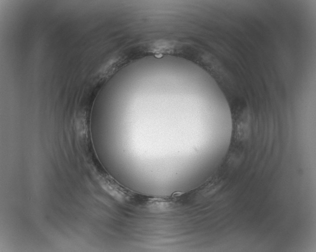 X0000079310620200612011818