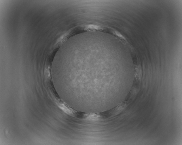 X0000079310621200612011818