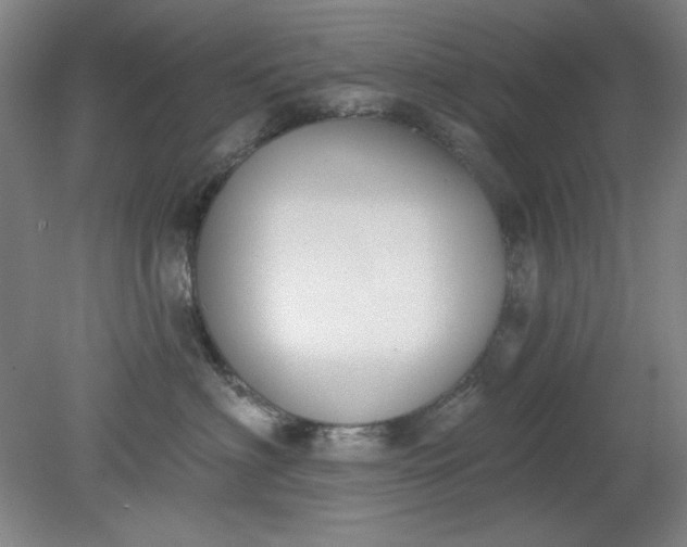 X0000079310622200612011818