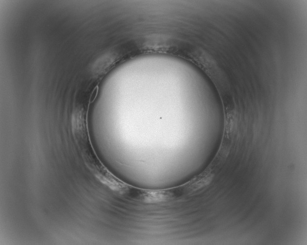 X0000079310623200612011818