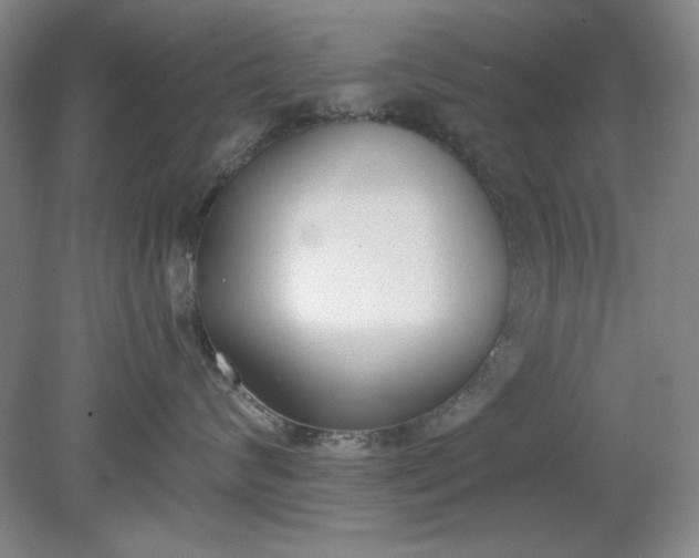 X0000079310624200612011818