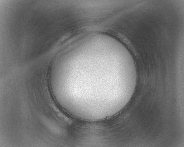X0000079310625200612011817
