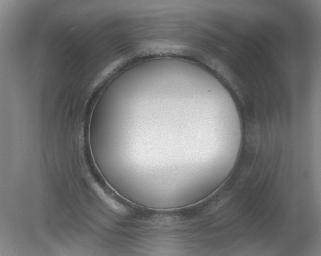 X0000079310629200612011817