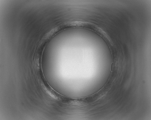 X0000079310633200612011817