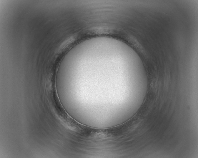 X0000079310635200612011817