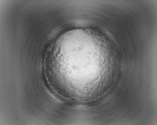 X0000079310637200612011817