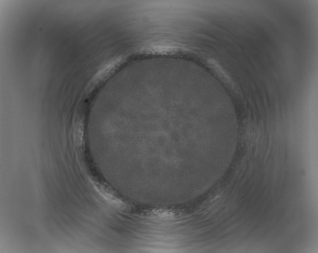 X0000079310640200612011817