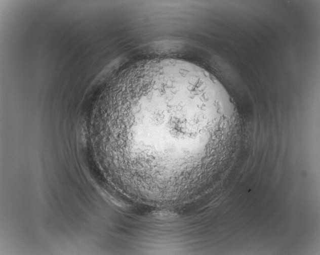 X0000079310644200612011817