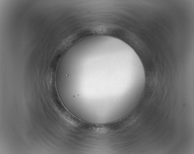 X0000079310645200612011817