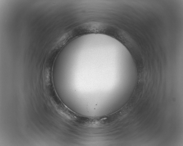 X0000079310646200612011817