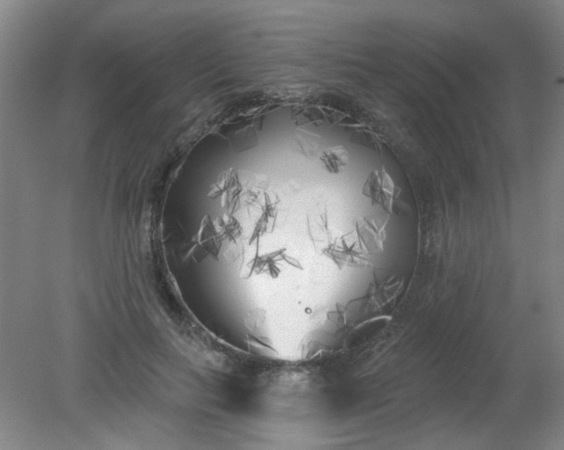 X0000079310647200612011817