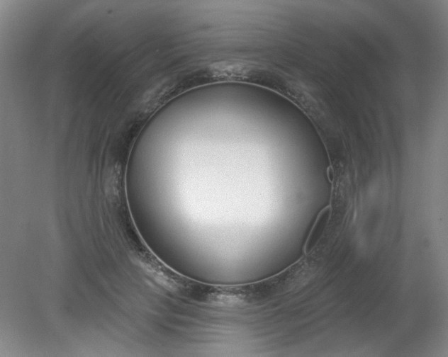 X0000079310649200612011817