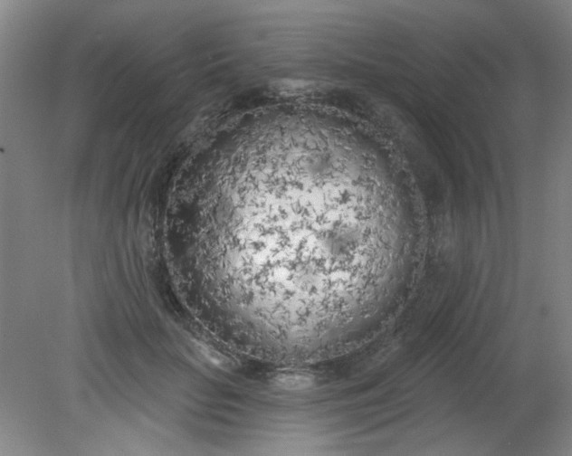 X0000079310653200612011817